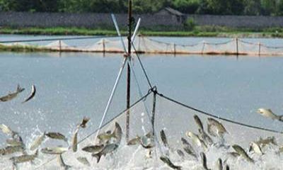 鱼塘监控安装过程中，应该选择红外摄像头还是全彩摄像头