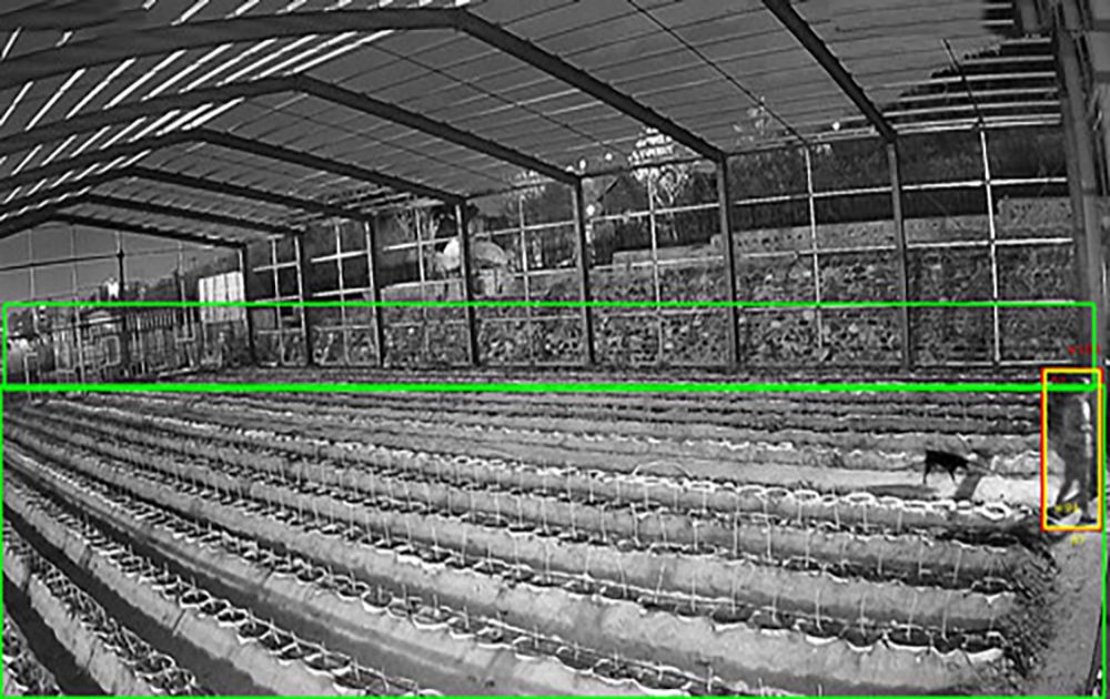 农村养殖大棚AI视频监控安装项目