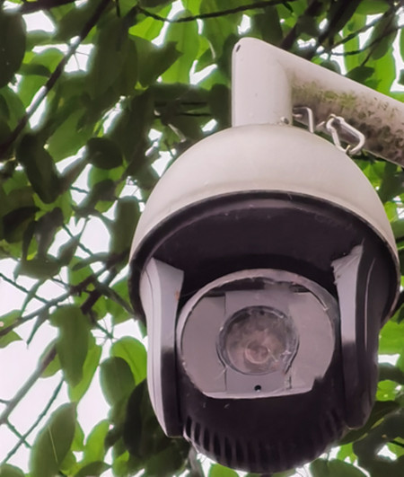 AI视频联网报警系统提示：湖景虽美，但请远离堤岸|峨眉山|峨秀湖|户外监控球机