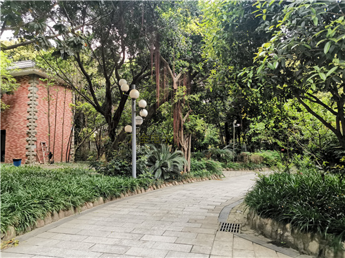 地下停车场、大型仓库，如何解决大场景下的监控需求