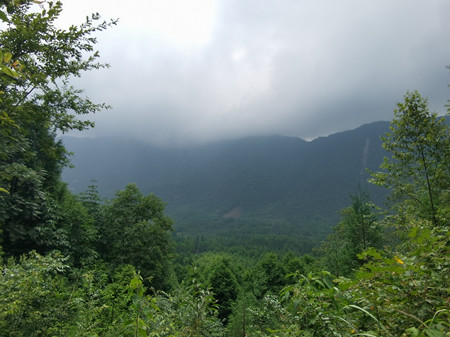 野外安装监控摄像头，在披荆斩棘中奋斗