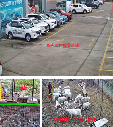 无电无网少人烟的野外，还想装监控系统？这不是空想