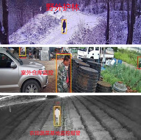 无电无网少人烟的野外，还想装监控系统？这不是空想