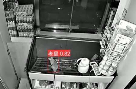 AI智能监控算法推出新算法，老鼠再也无处可逃