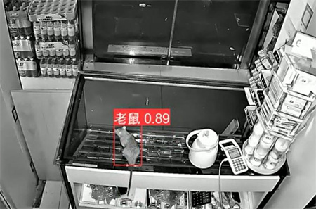 AI视频监控能拍到老鼠？老鼠监控算法说可以