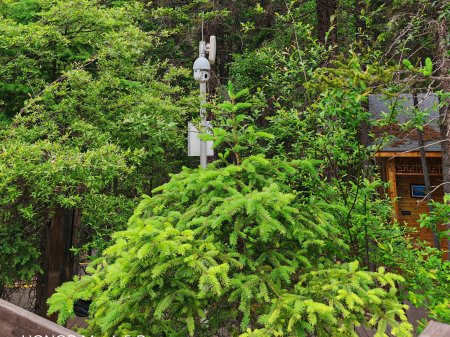 夏季来临，AI视频监控新防下水算法解决管理难题