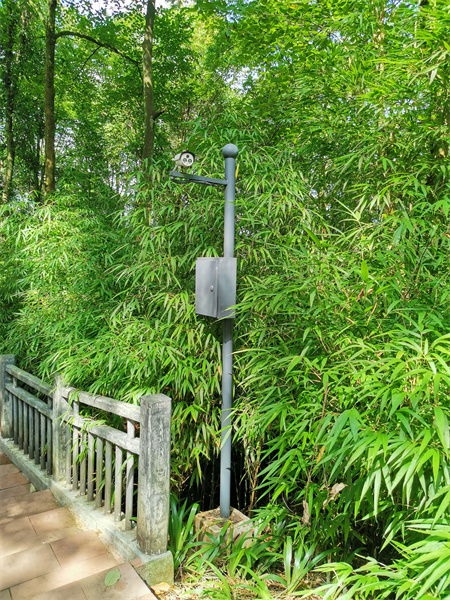 安防监控系统工程中的AI智能算法，可实现包括：人形识别、火焰识别、车辆识别、行为识别等一系列的AI智能识别算法