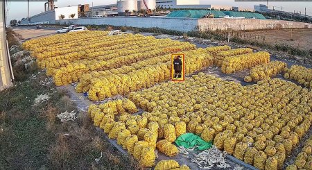  AI智能视频监控：革新安全管理，赋能多领域实际应用